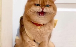 亚洲精品久久久久久久久久飞鱼